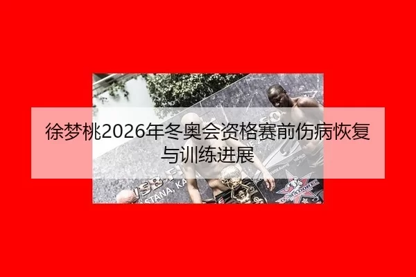 徐梦桃2026年冬奥会资格赛前伤病恢复与训练进展